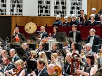 Mahler 2-040